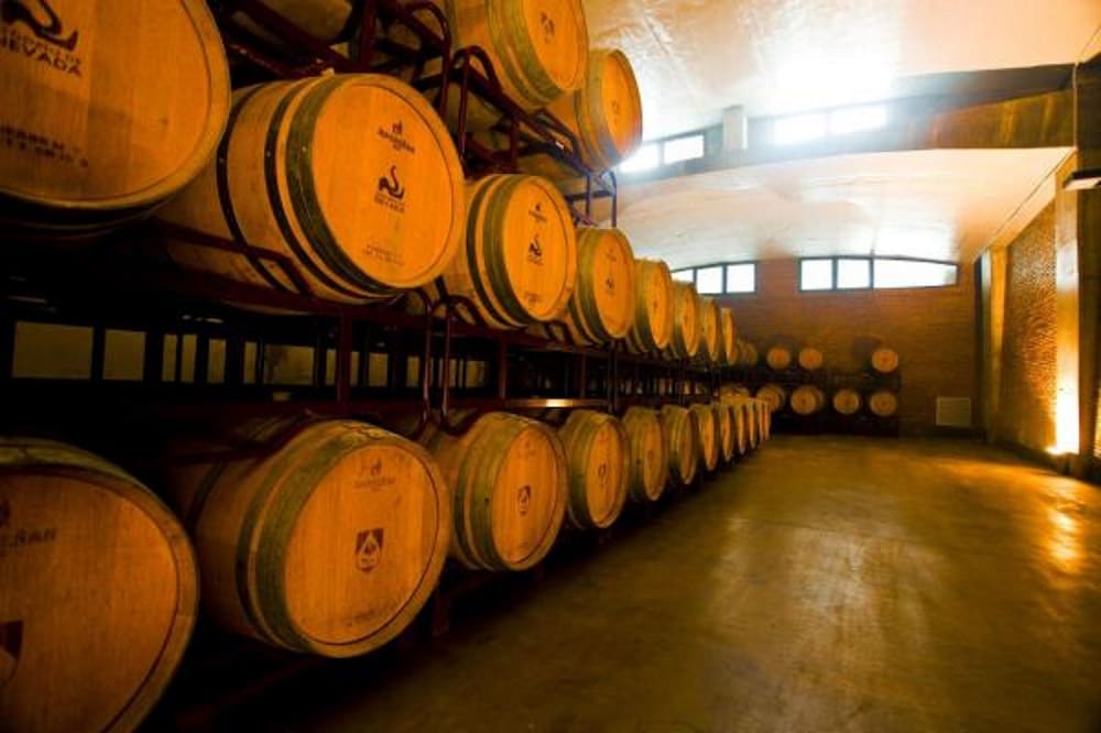 Hotel & Winery Senorio de Nevada 36/40