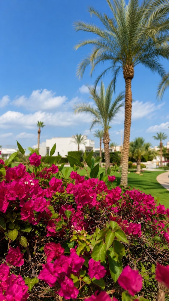 Naama Bay Hotel & Resort 68/72