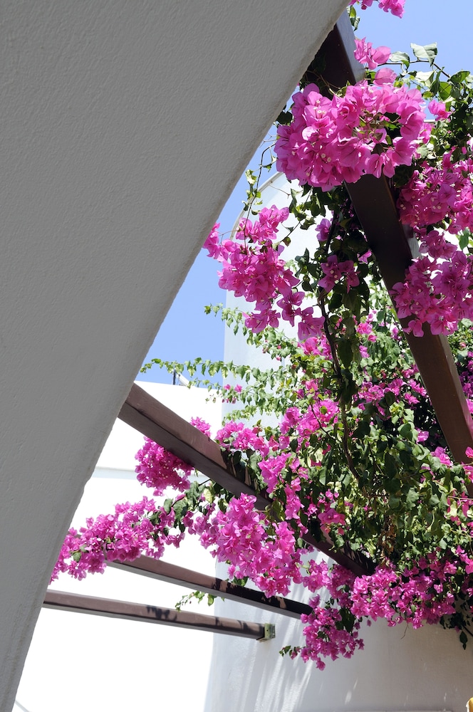 Sunrise Paros by Mr and Mrs White 30/38