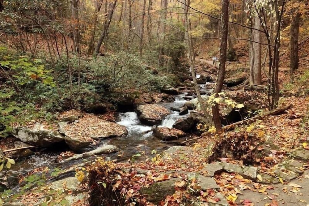 Nacoochee Valley Rentals 40/50