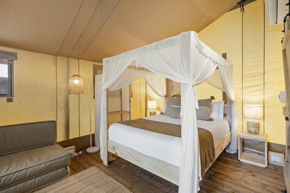 SAFARI, TENT, STUDIO
