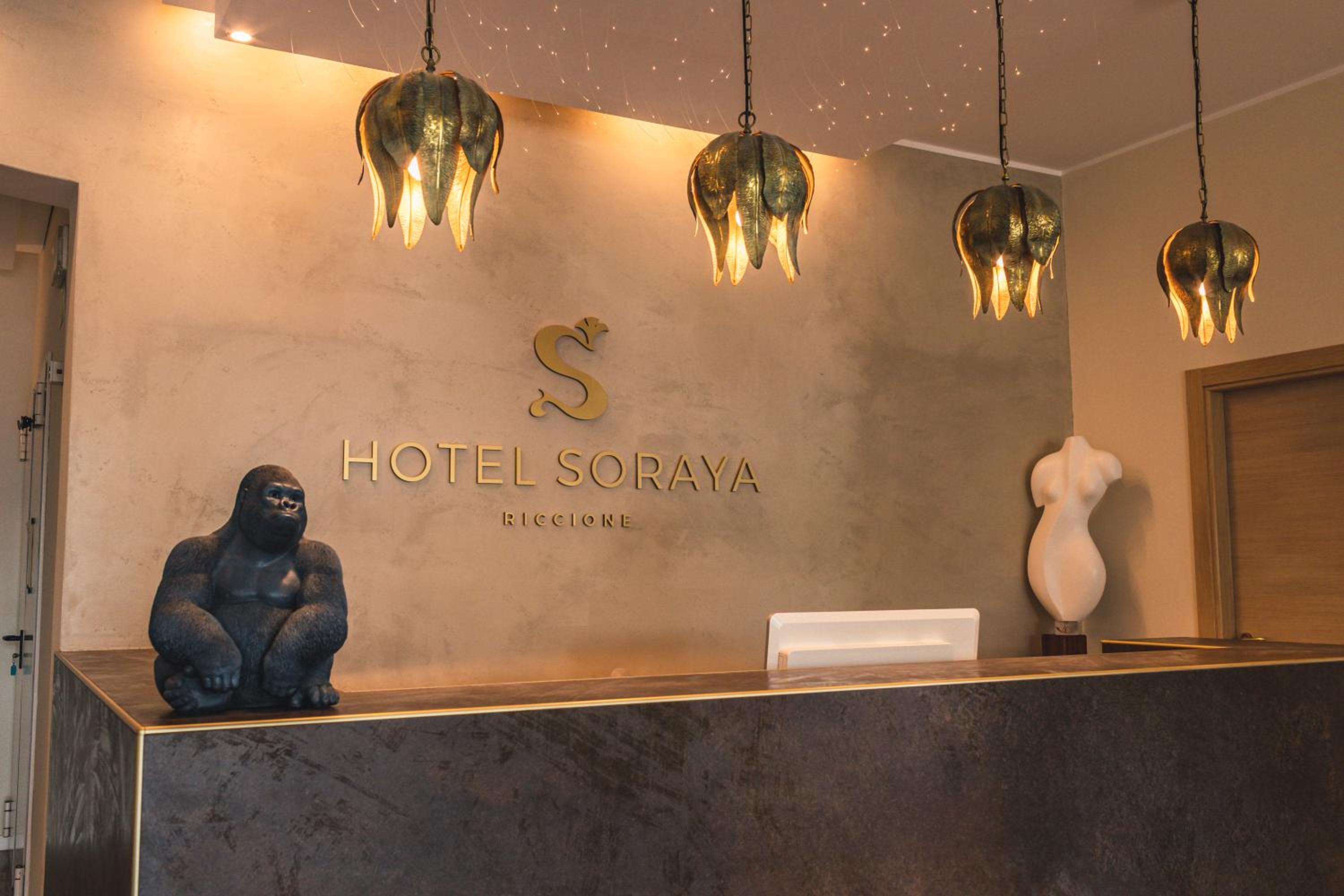 Hotel Soraya 9/40