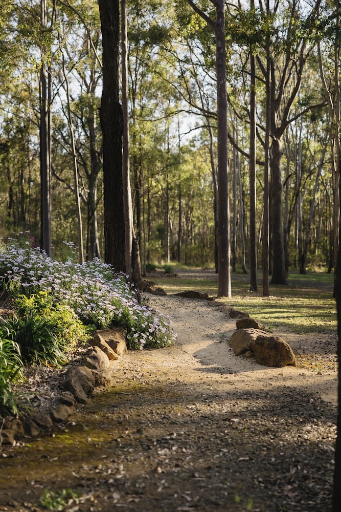 Wild Woods at Pokolbin 26/43