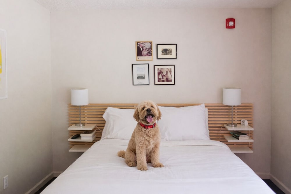 The Briarcliff Motel 25/58