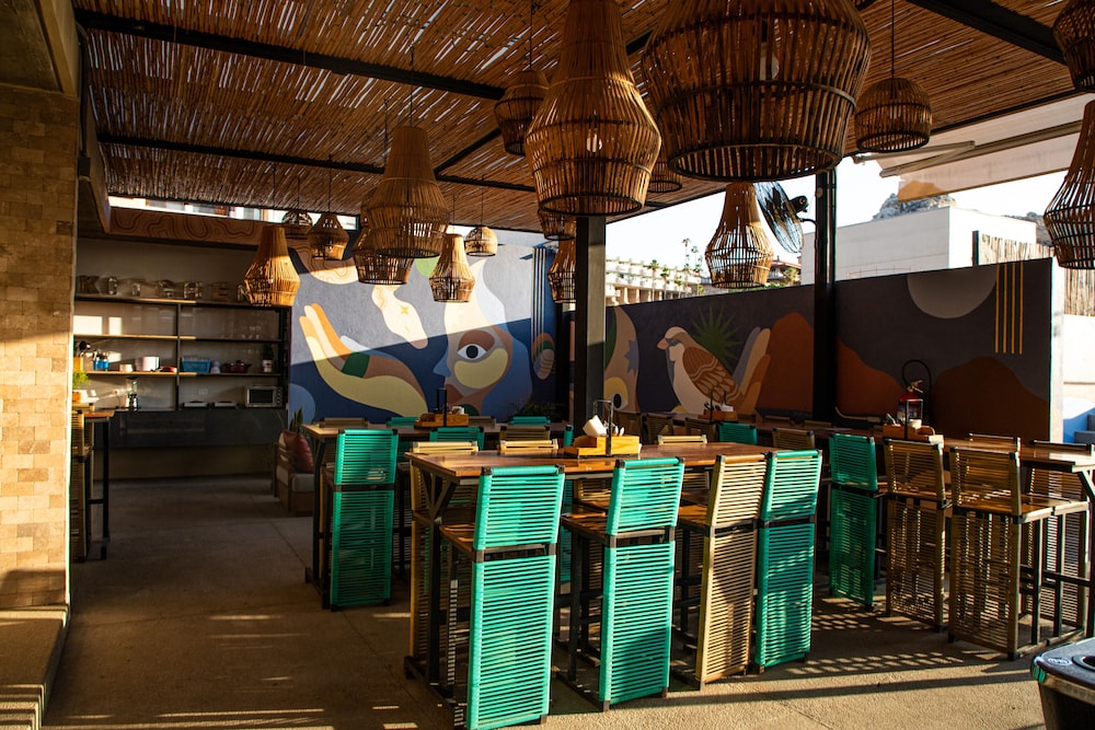 Mayan Monkey Los Cabos 33/50