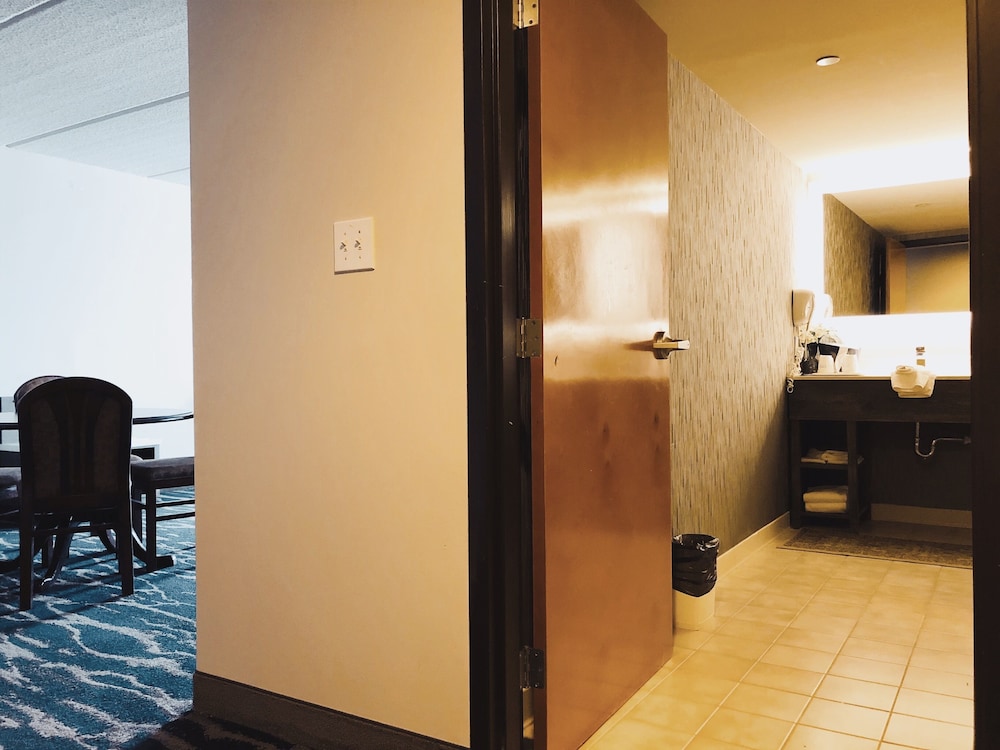 Comfort Inn and Suites Greenville 19/40