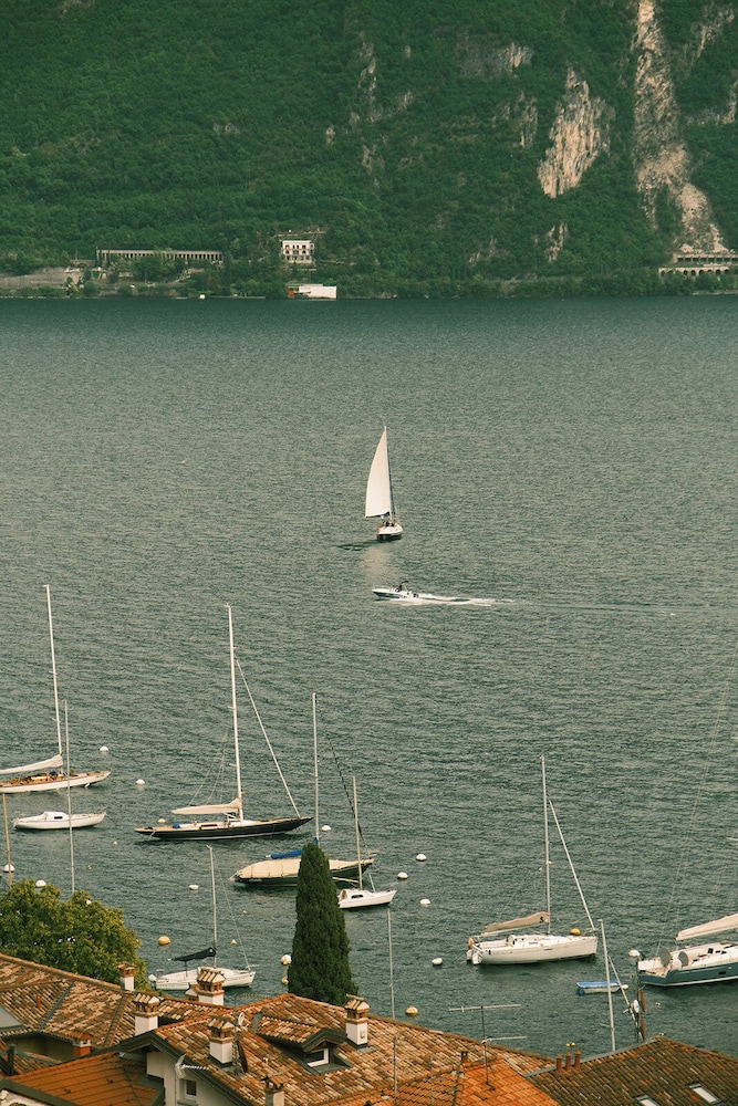 Belvedere 46/50