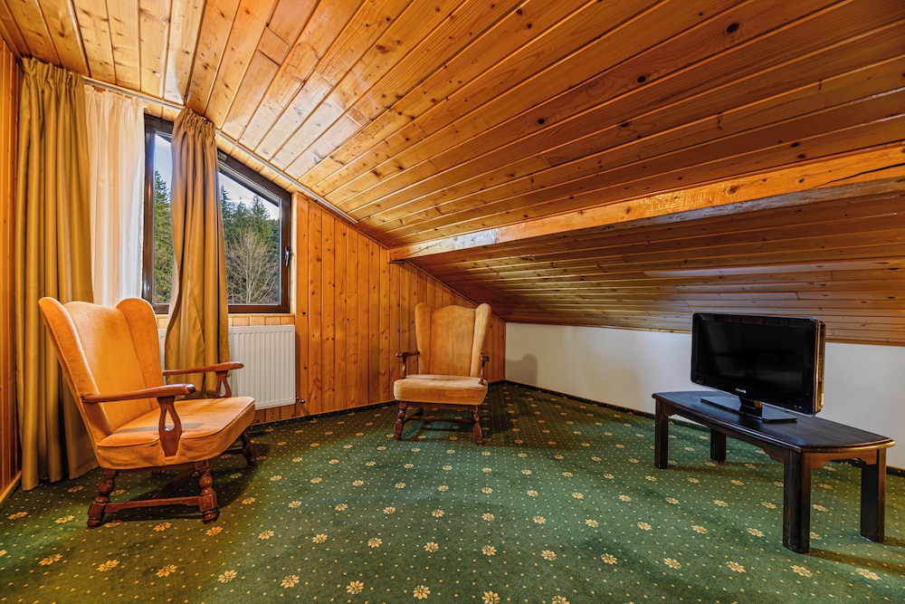 Hotel Casa Viorel 18/50