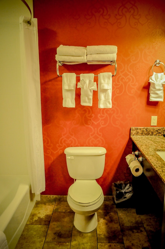 Best Western Plus Tupelo Inn Suites 26/45