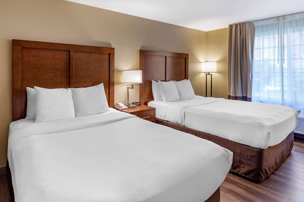 Comfort Inn & Suites Carbondale on the Roaring Fork 19/60