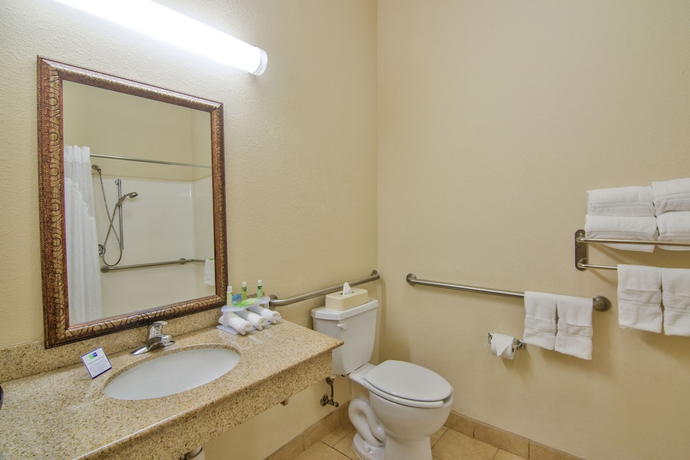 Holiday Inn Express Hotel Suites Terrell 18/64