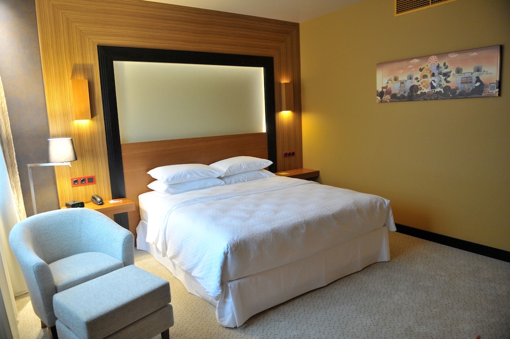FOUR POINTS BY SHERATON KECSKEMET HOTEL & CONFERENCE CENTER 12/35