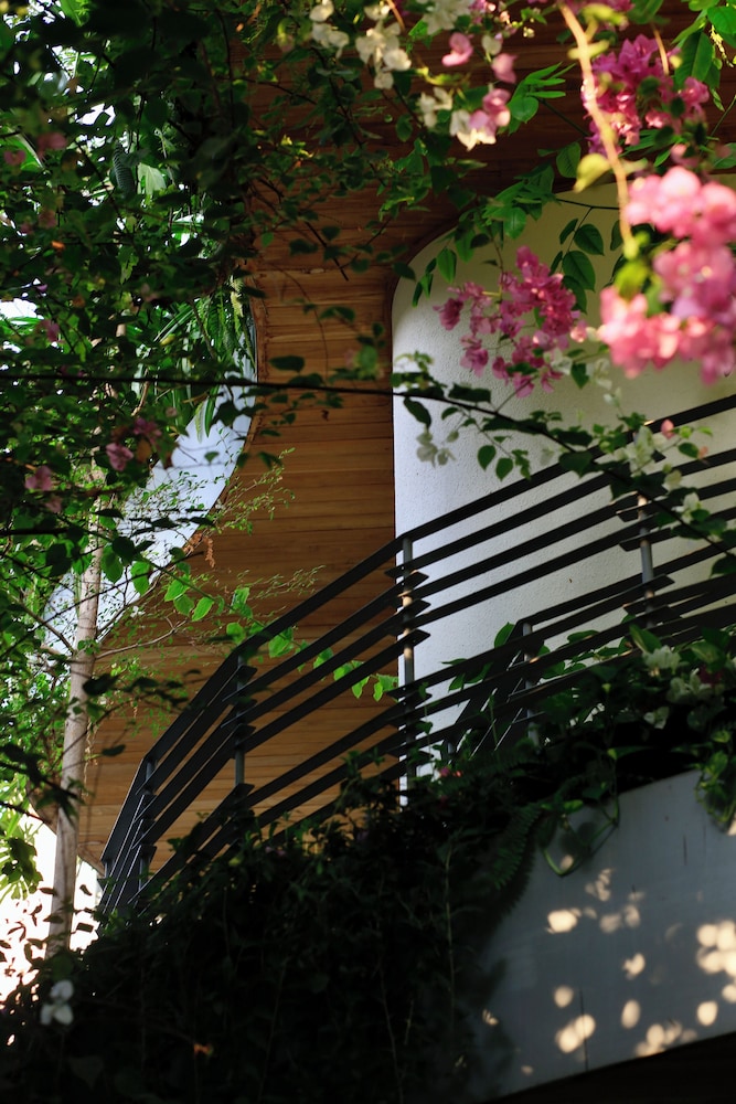 Cityhouse - City Oasis 39/50