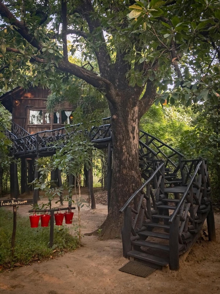TREE HOUSE HIDEAWAY 15/50
