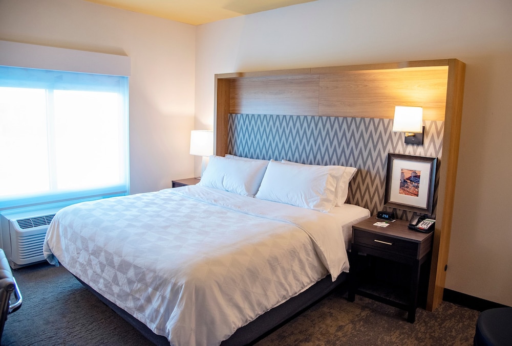 Holiday Inn Suites Savannah Airport Pooler 23/74