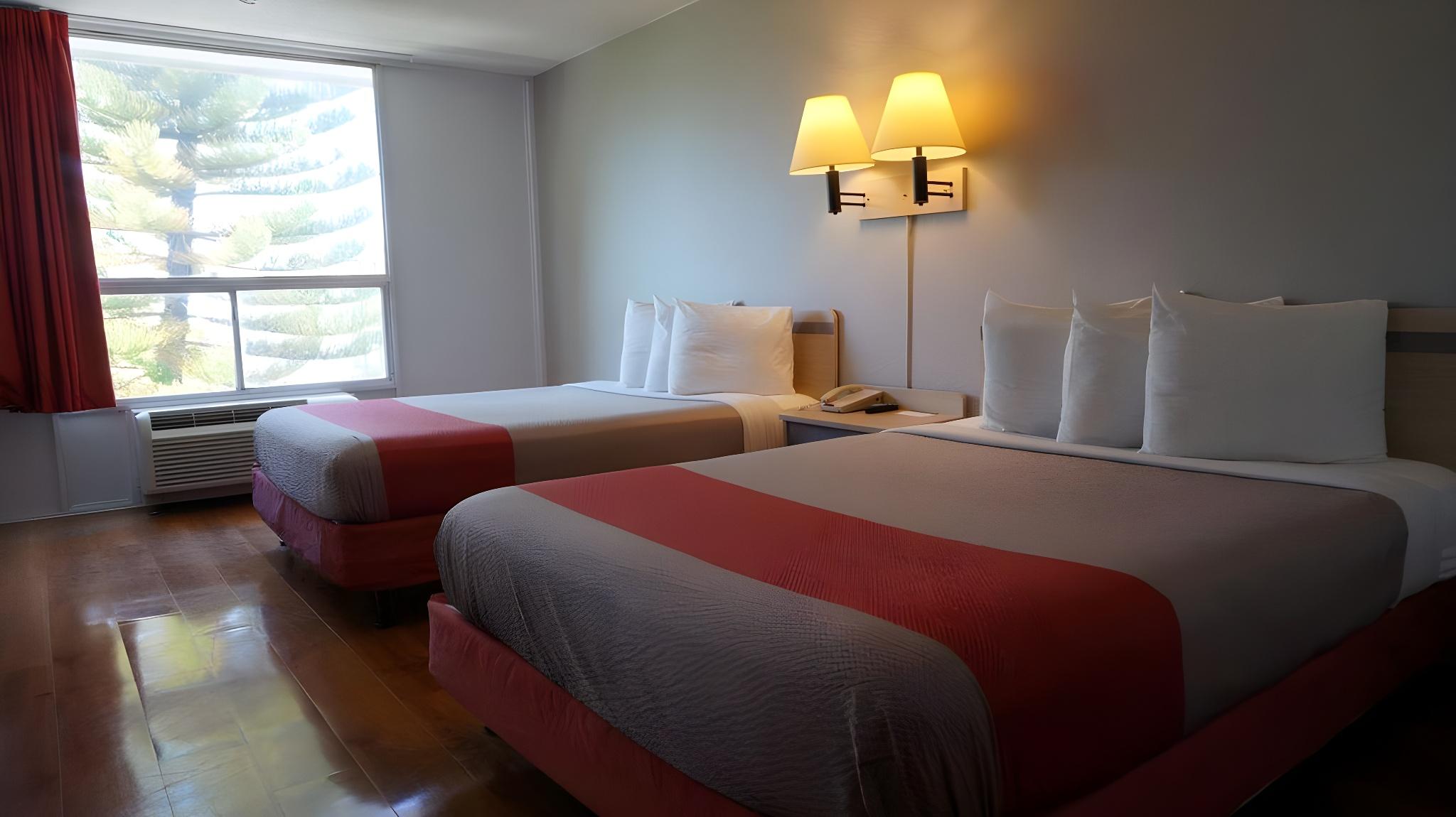 Premium, Suite, Multiple Beds