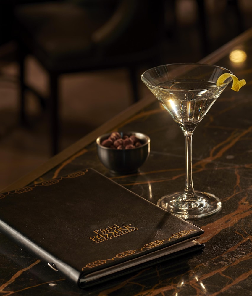 Parisi Udvar Budapest-Unbound Collection By Hyatt 19/50