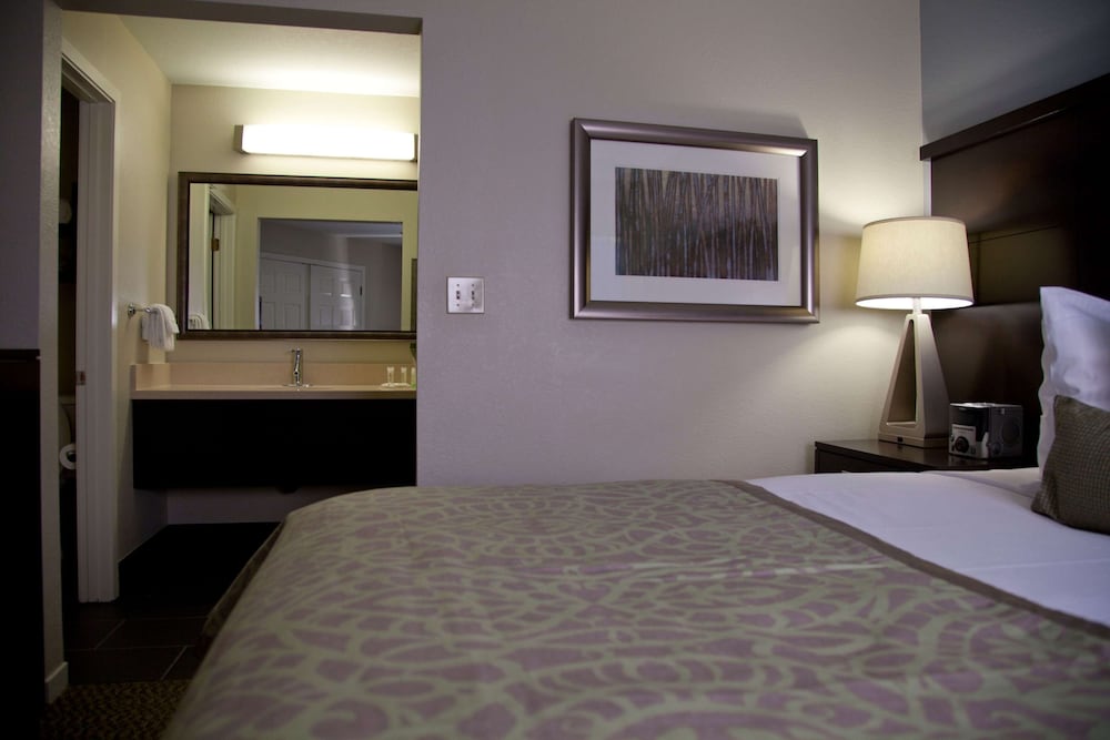 Sonesta Es Suites Sunnyvale 17/50