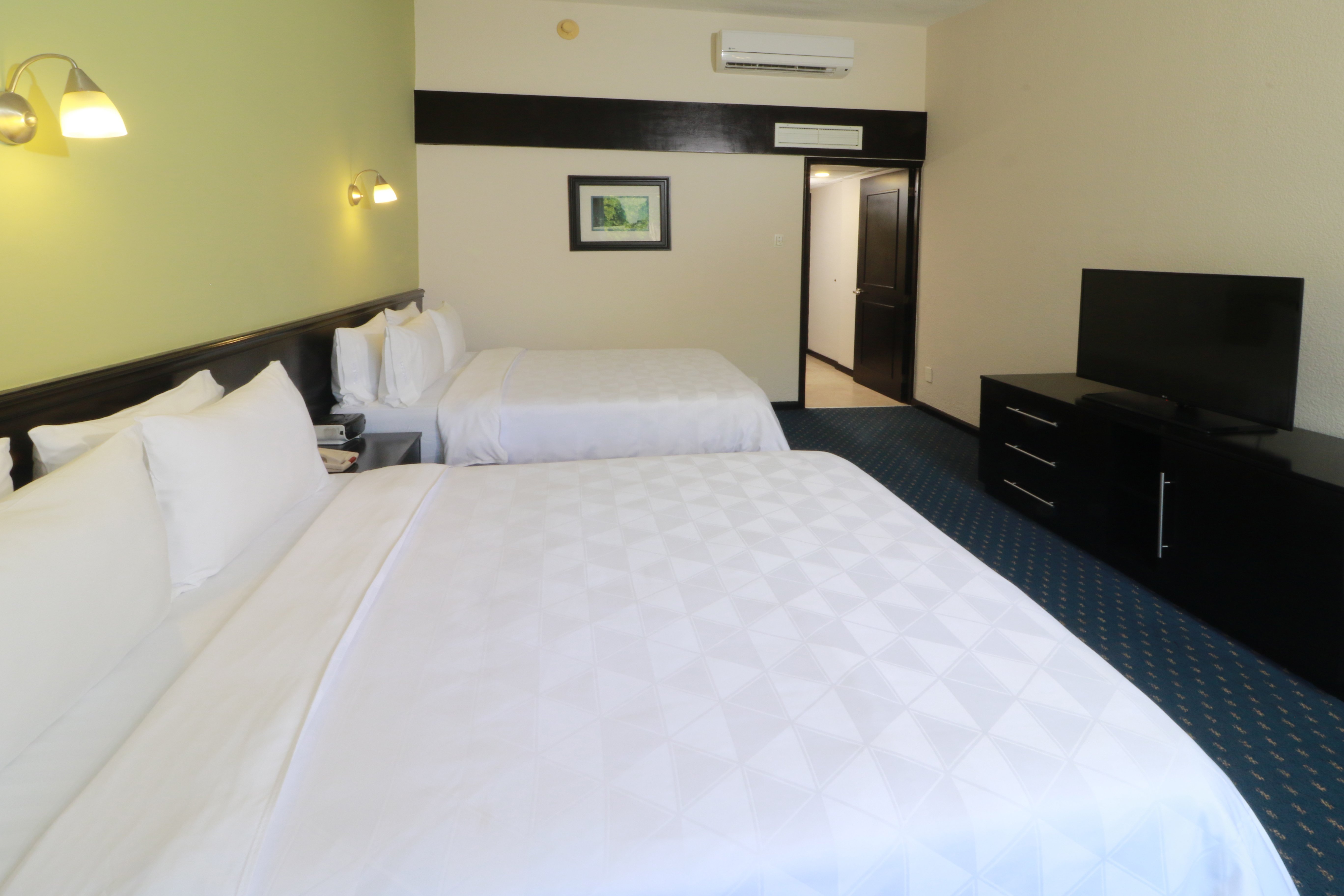 Holiday Inn San Luis Potosi-Quijote 11/50