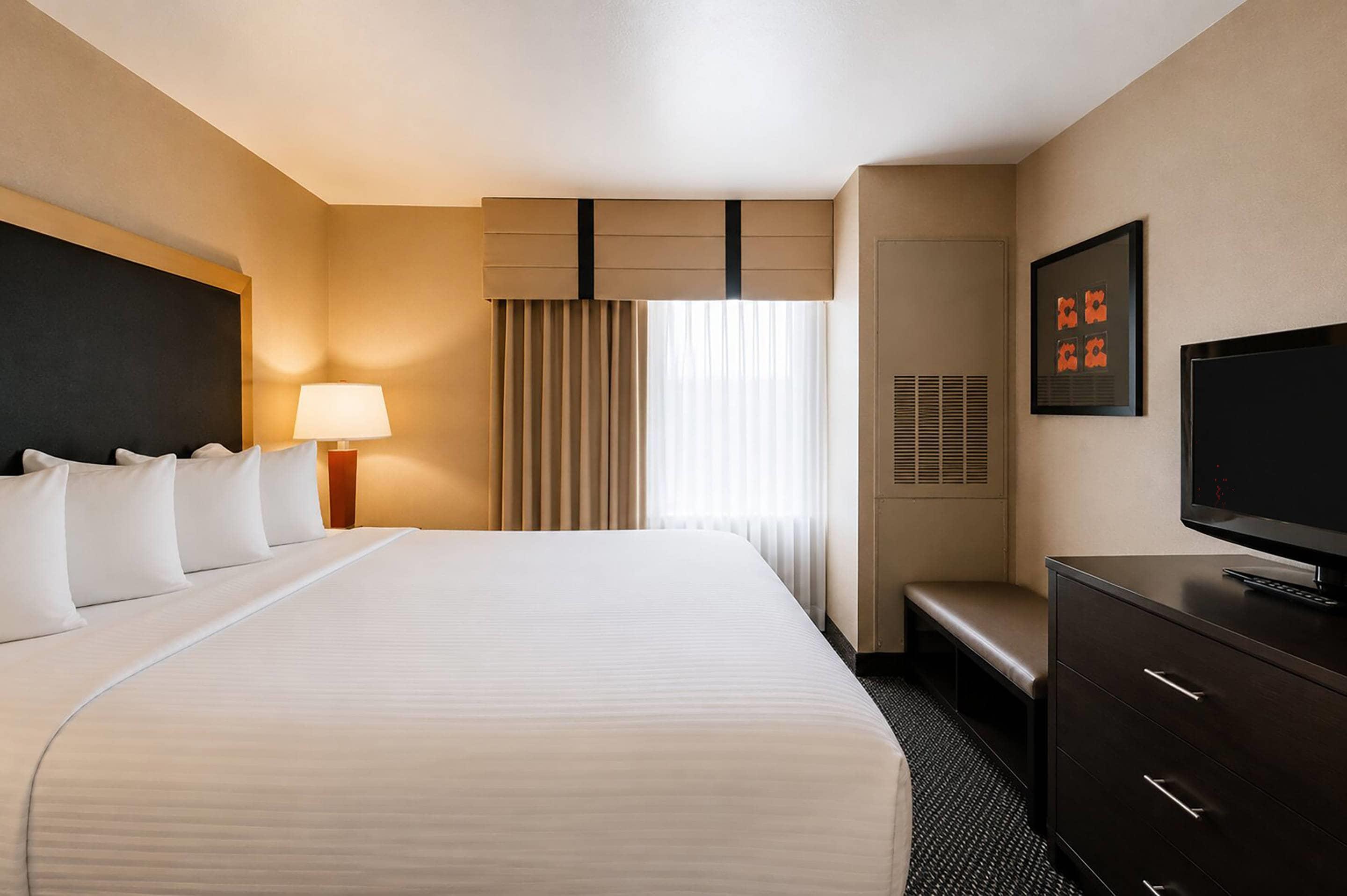 Suite, King Bed, Accessible