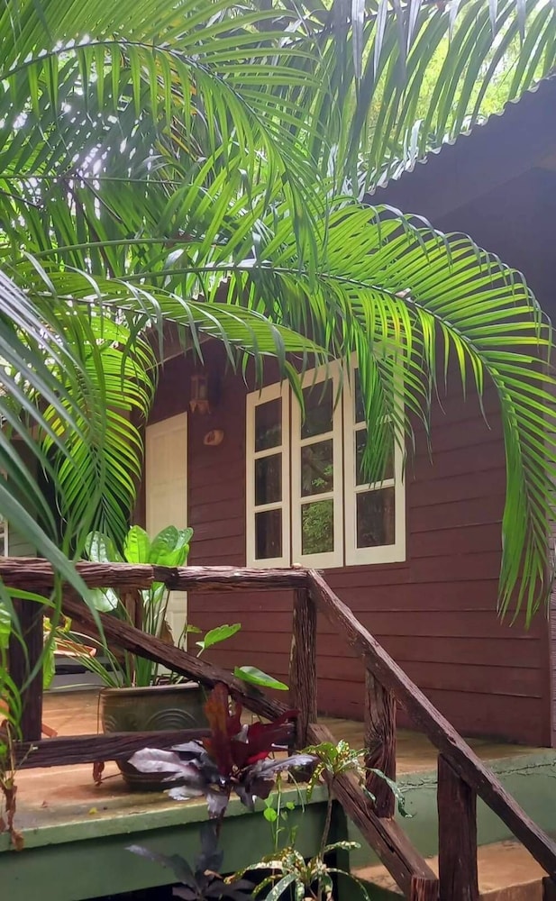 Jungle Bay Resort 37/42