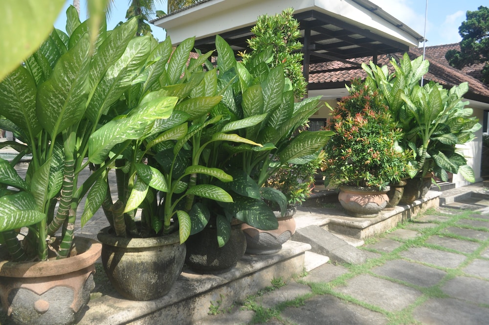 Dewi Sinta Hotel and Restaurant by ABM 23/32