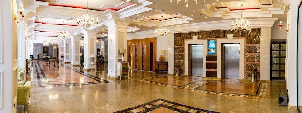 Phoenicia Royal 26/50