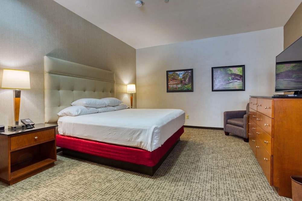 Drury Plaza Hotel San Antonio Riverwalk 15/43