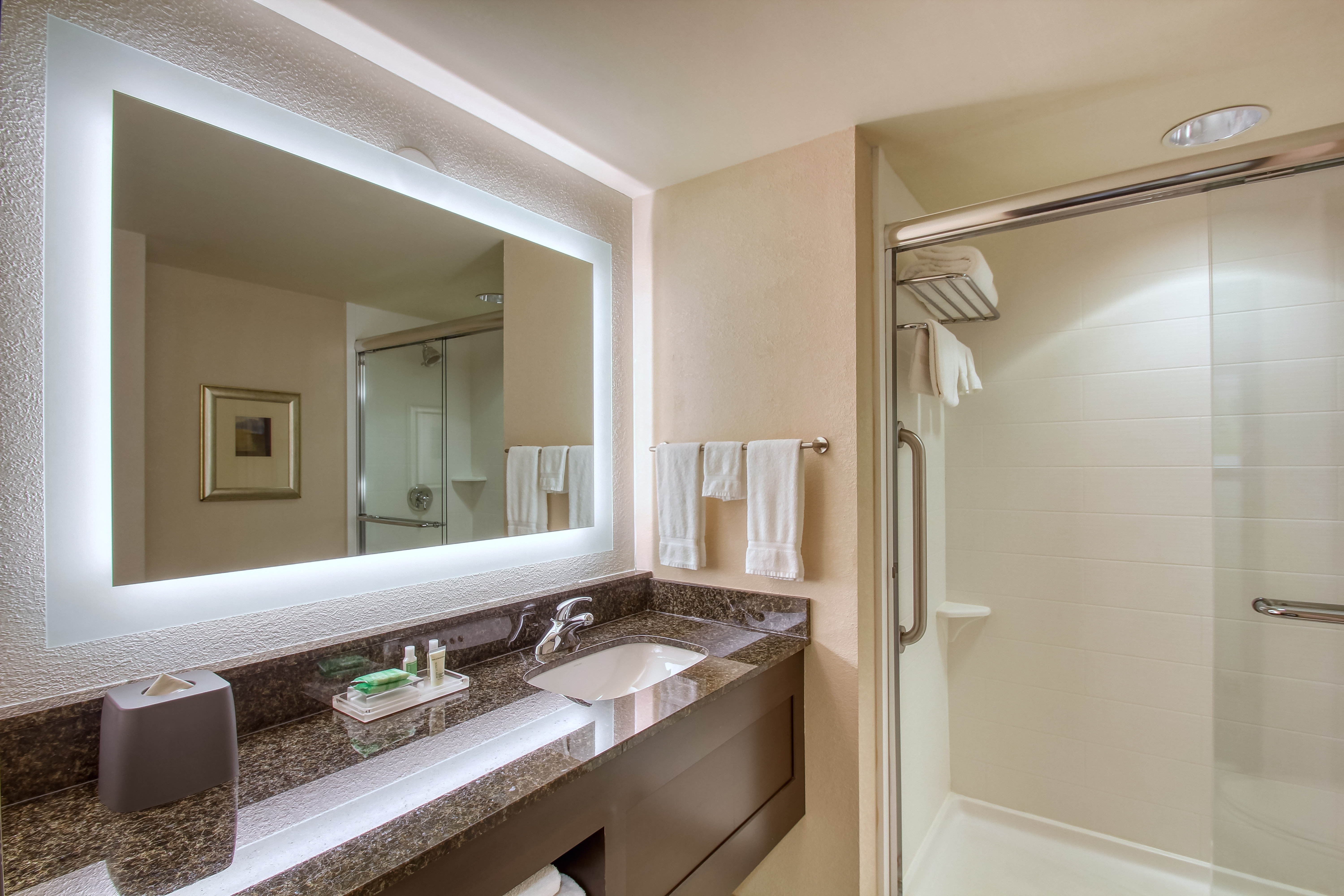 Holiday Inn Hotel Suites Atlanta Airport North 42/42