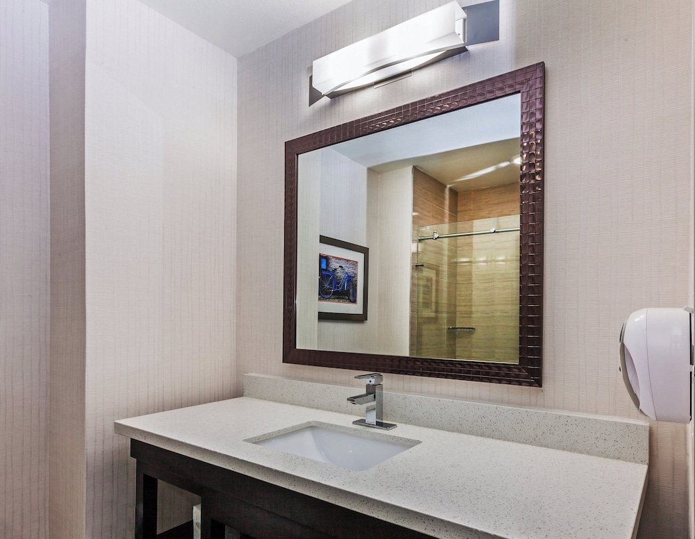 جناح بسرير كينج بإطلالة على المسبح، Holiday Inn Express Hotel And Suites Houston East 5/5