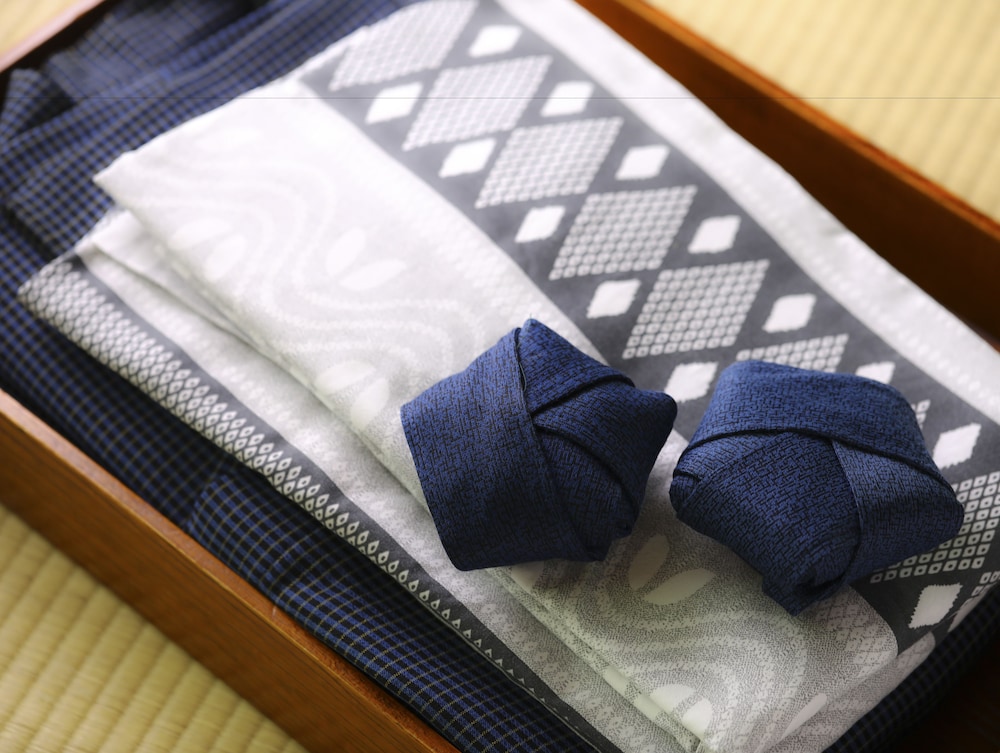 Besshoonsen Nanjyo Ryokan 14/50