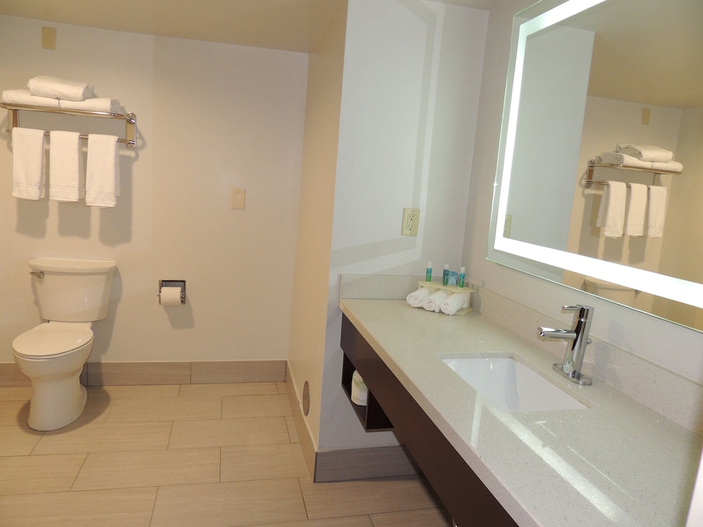 Holiday Inn Express Hotel & Suites Birmingham Ne - Trussville 50/50