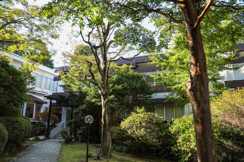 Tkp Lectore Hakone Gora 43/50