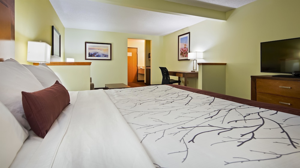 White Pines Inn & Suites of Holland 17/48