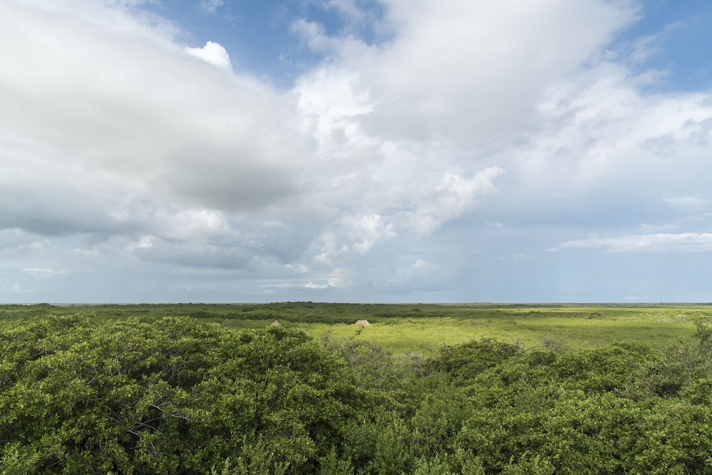 Cormoran Hotel Boutique & Cenote 27/48