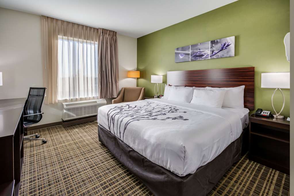 One King Bed