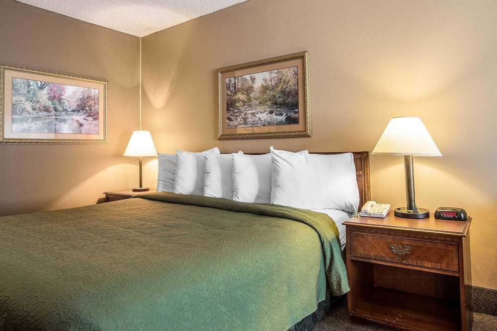 Quality Inn & Suites Mt. Chalet 23/36