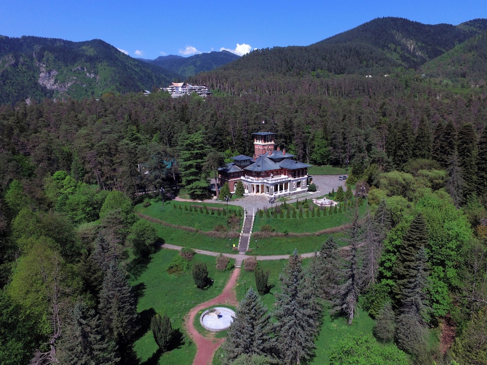 Borjomi Likani Hotel, Borjomi 71/75