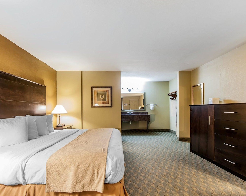 Quality Inn & Suites Bremen, GA 14/37