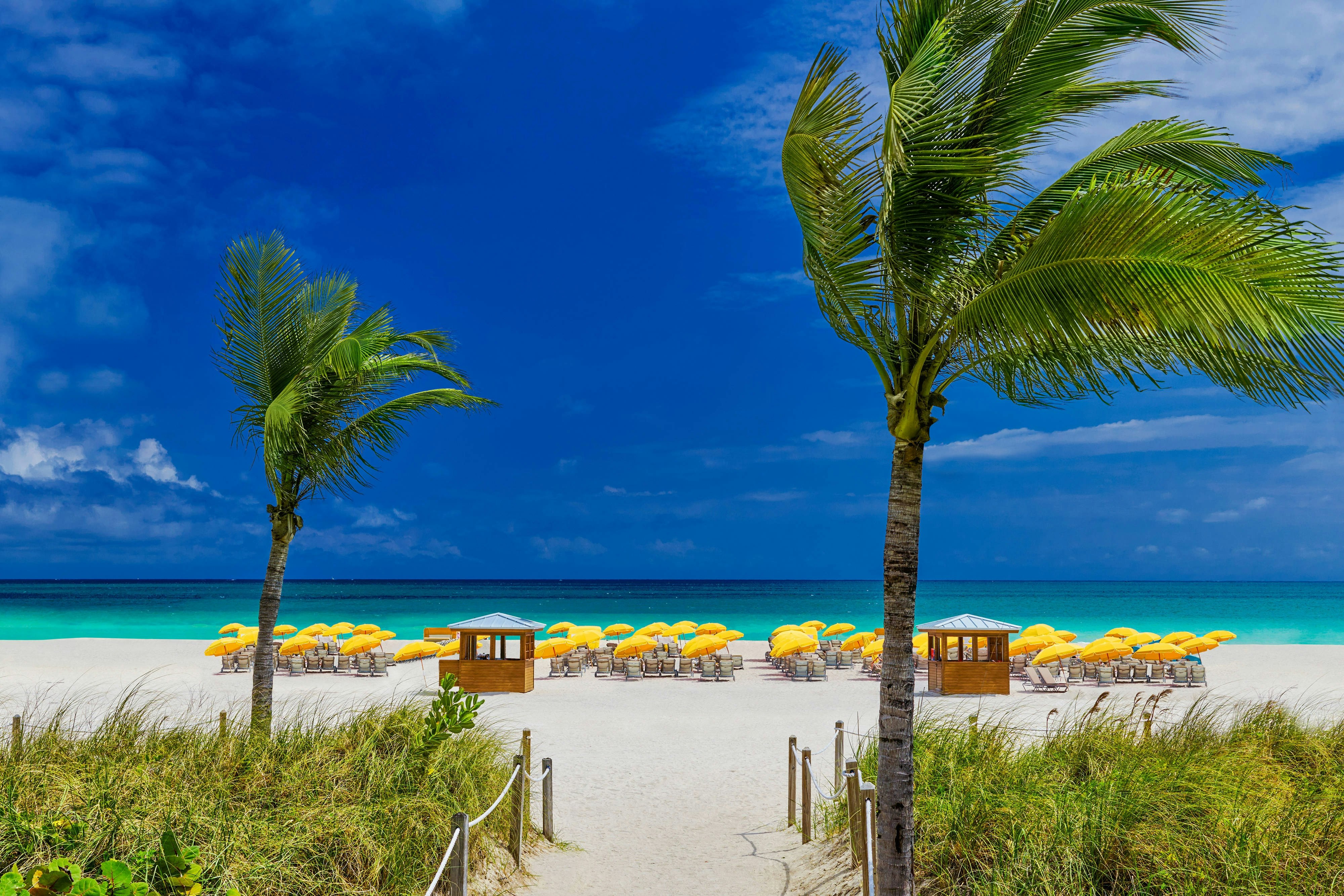 Royal Palm South Beach Miami, a Tribute Portfolio Resort 40/50