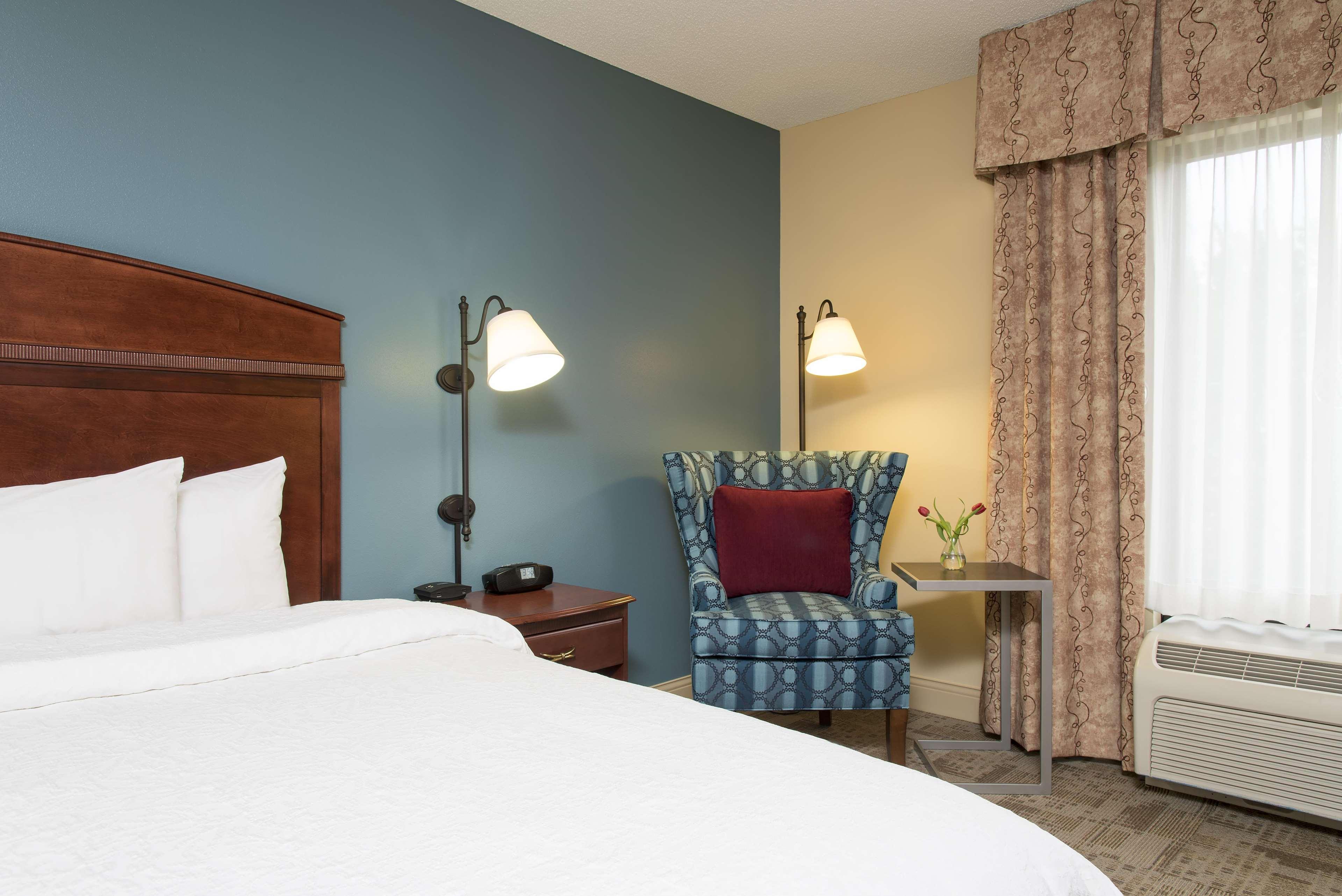 Studio, Murphy Bed, Queen Bed, Sofa