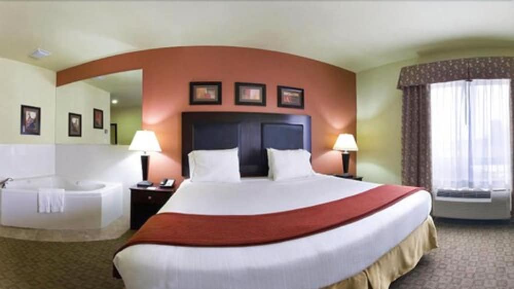 Holiday Inn Express Hotel Suites Alexandria 18/62