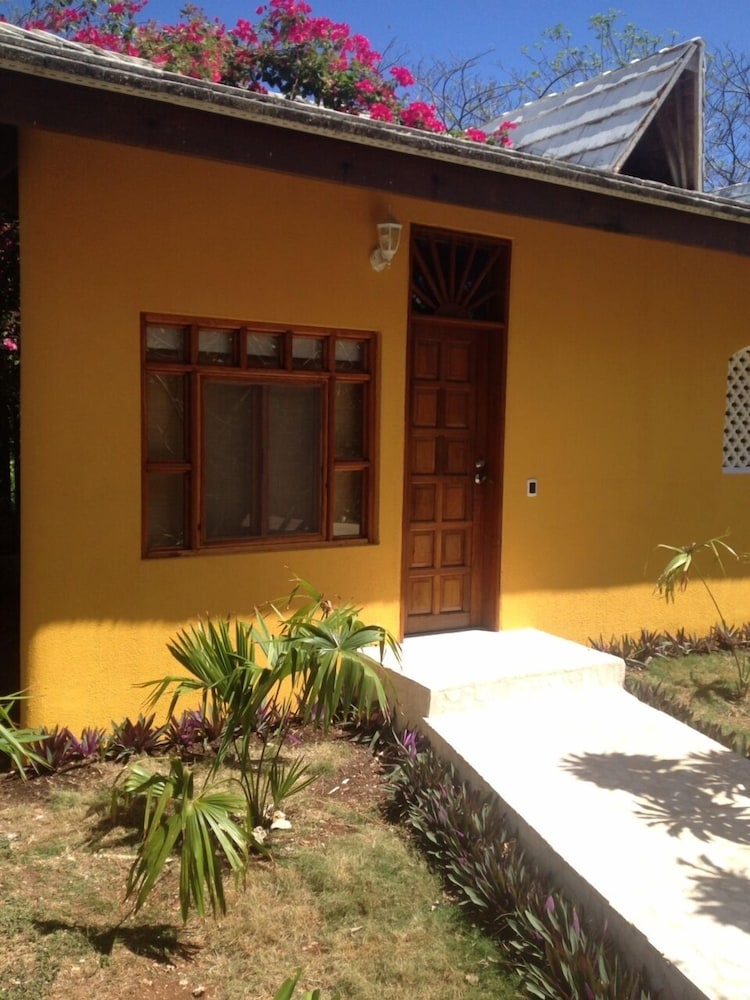 Casa Las Palmas 1/31