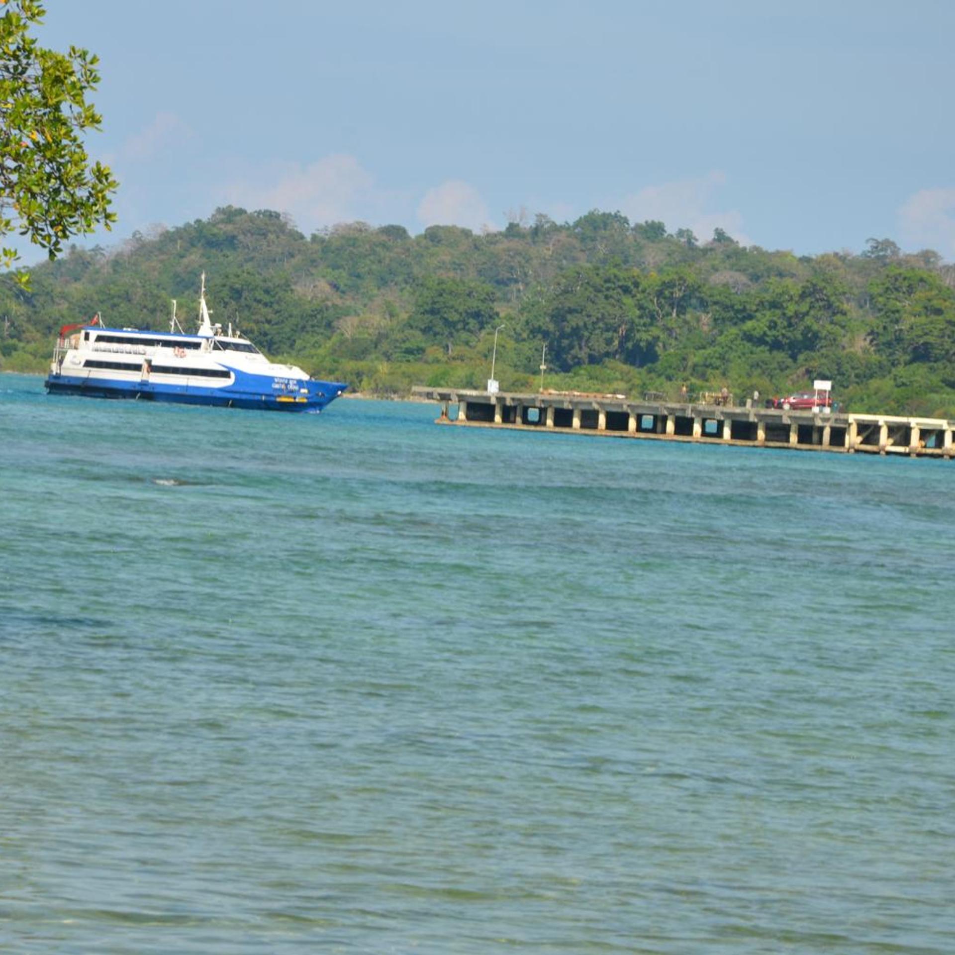 Coconhuts Beach Resort-Neil Island 40/49