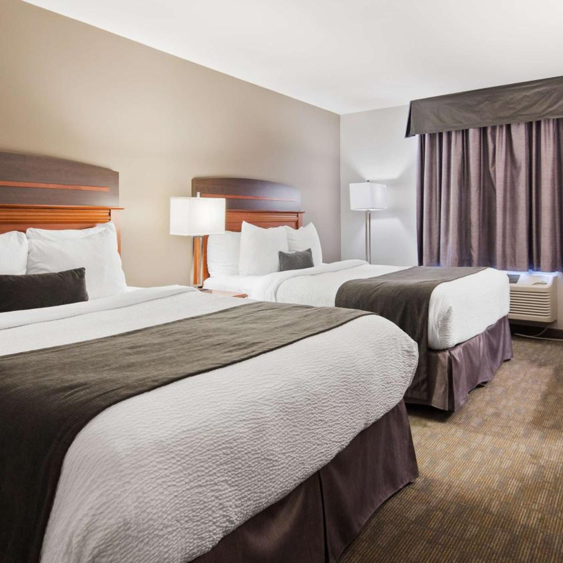Mini, Suite, King Bed, 2 Queen Beds