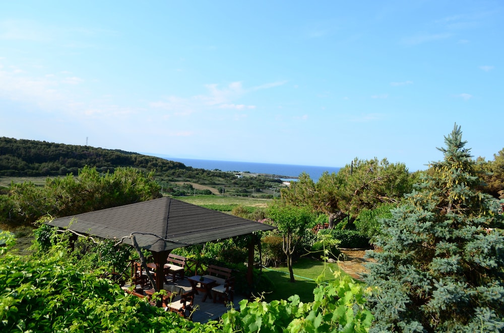 Ada Bacchus Hotel 37/50