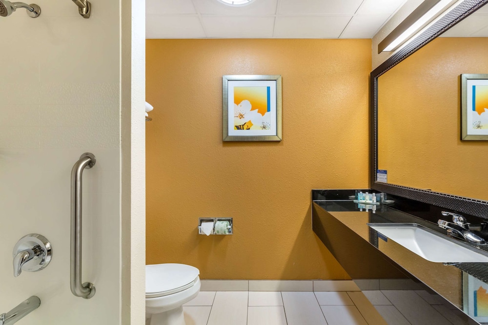 Quality Inn and Suites Sandusky 37/40