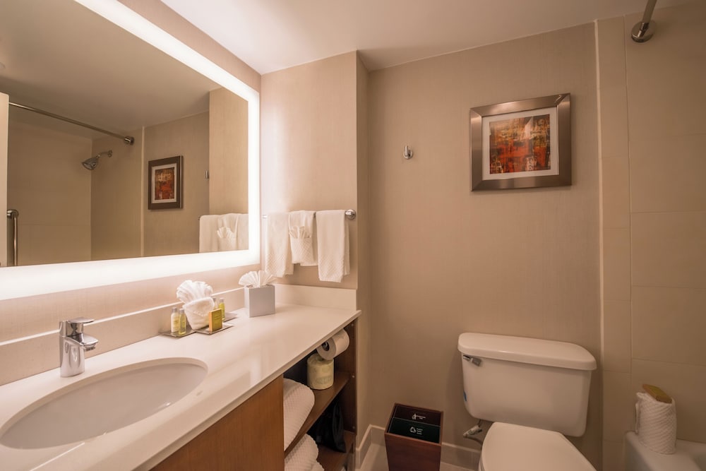 غرفة قياسية مفردة بسرير كوين، The Brookhaven Atlanta Hotel 4/4