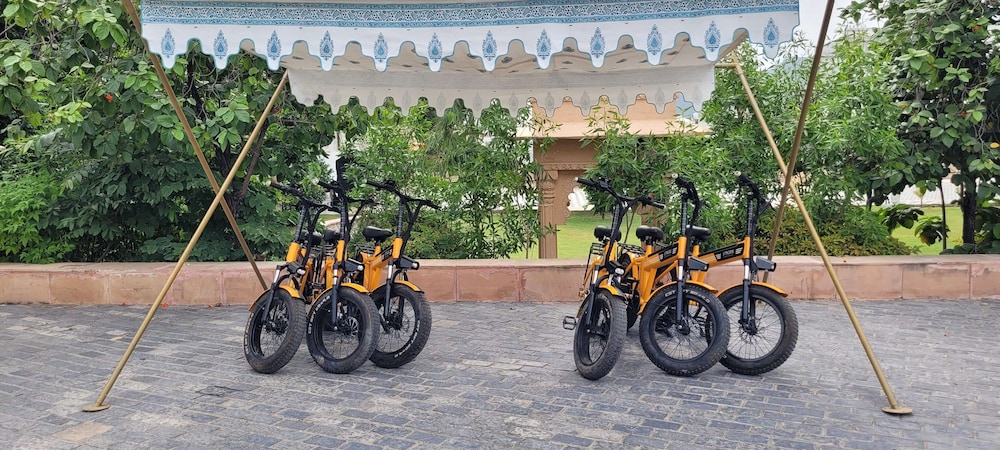 Radisson Blu Udaipur Palace Resort And Spa 39/74