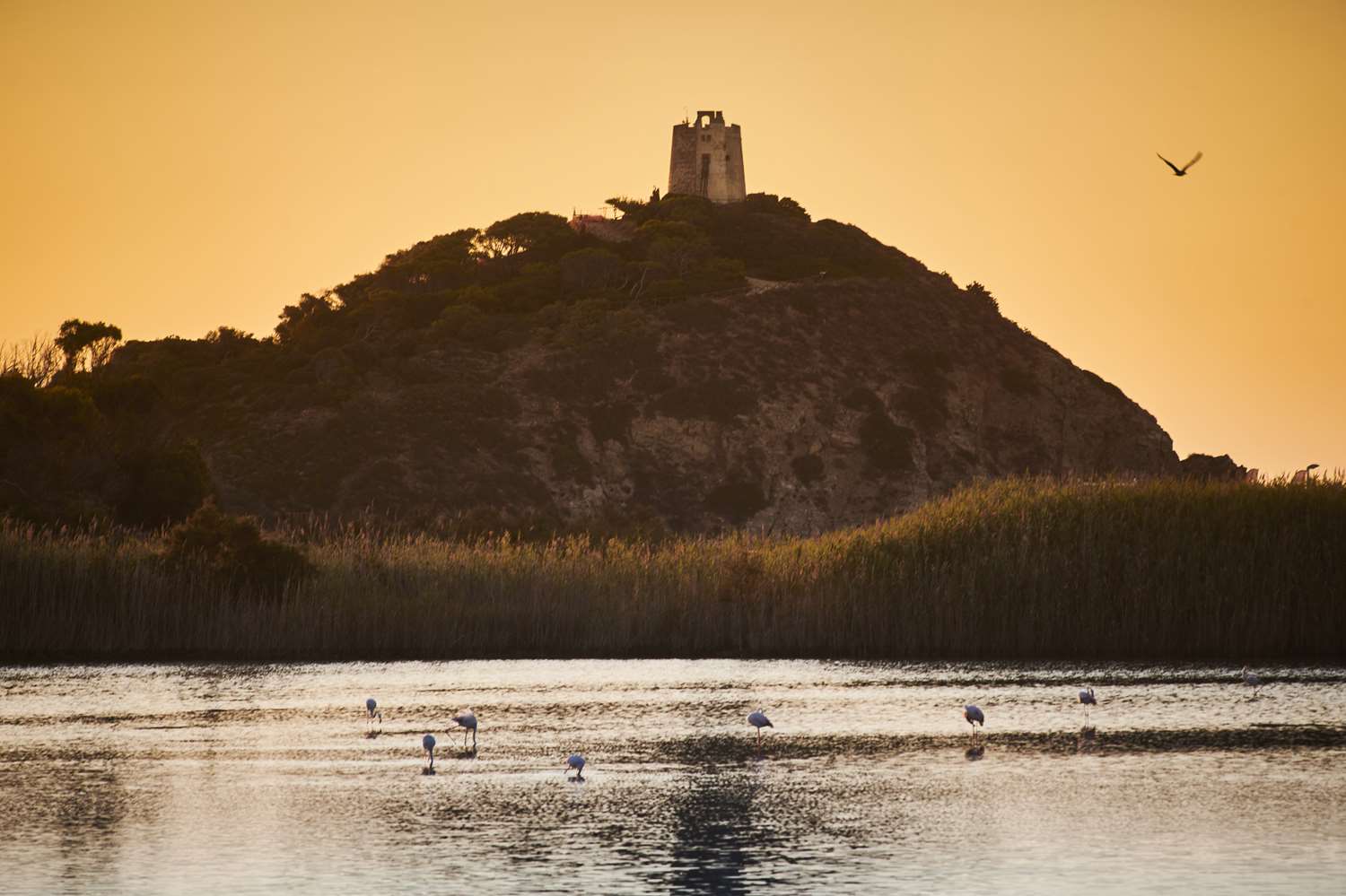 Baia di Chia Resort Sardinia, Curio Collection by Hilton 13/29